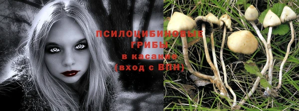 тгк Покров