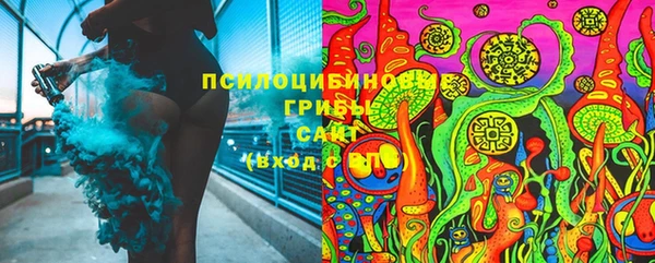 тгк Покров